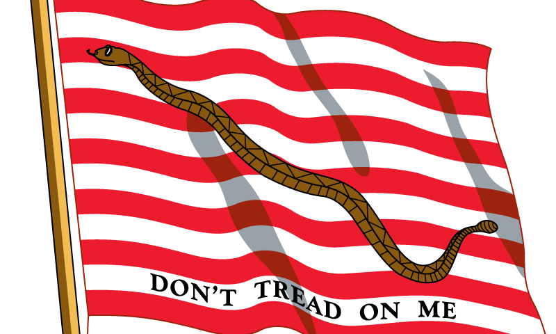 A flag with the words " don 't tread on me ".