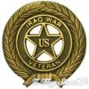 A gold colored badge with the words iraq war veteran in it.